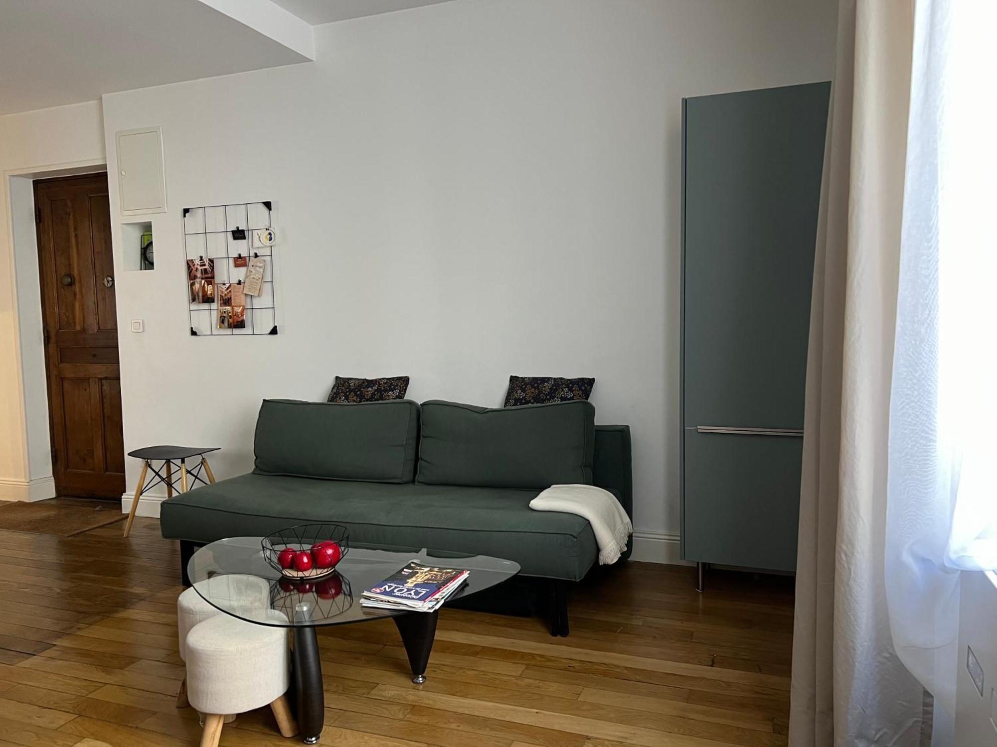 Cosy Appartement Lyon Valmy - Parking المظهر الخارجي الصورة